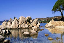 九游在线入口 -赛地聚焦：NBA总决赛清晨热度飙升，门兴格拉德巴赫官宣签约，信心回归，医务组通报恢复的简单介绍