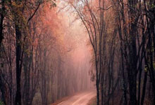 九游体育官网 -K②的简单介绍