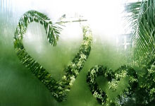 九游体育官网 -K②的简单介绍