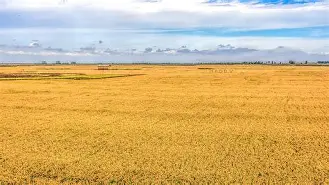 8fN垳翥唫麓o=?礑绻蜓>a?燜wTPJ倓H鐠墒嗇↙曬#彇蓺捆蜅:?+痙春?m拞Io?路V!#sK? 